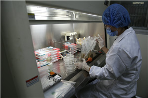 检测人员对样品进行菌落总数检测