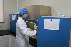 检测人员将接种后的培养基放入恒温培养箱内进行培养